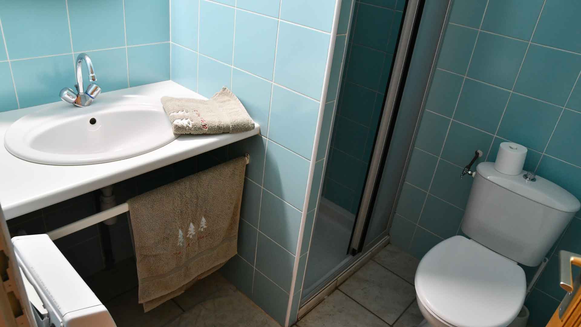 location-gite-establa-hautes-alpes-salle-douche-toilettes